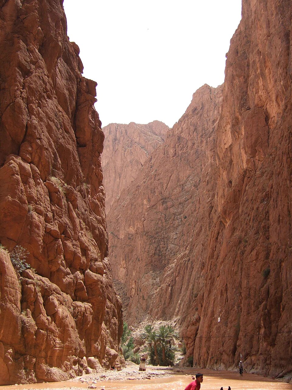 Todra Gorge in Morocco with towering limestone cliffs and a scenic canyon