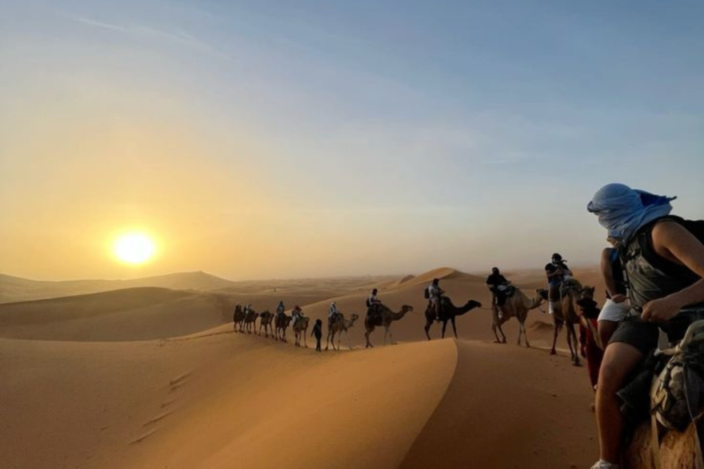 Desert Tours